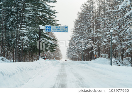 Beautiful snow road forest view during car driving in winter season. Winter travel, Road trip, Adventure, Exploring and Vacation concepts Beautiful snow road forest view during car driving in winter season. Winter travel, Road trip, Adventure, Exploring and Vacation concepts 108977960