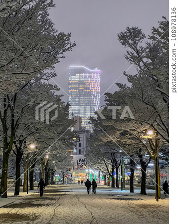 代代木公園夜間下雪（垂直） 108978136