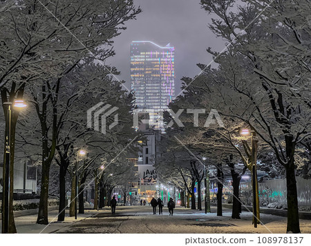 代代木公園夜間下雪 108978137