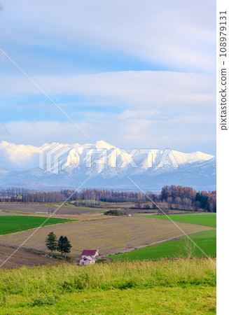 Autumn view of Hokkaido's vast land and Mt. Biei from Shinei no Oka Observation Park | Photographing the east direction | Biei Town, Hokkaido Autumn view of Hokkaido's vast land and Mt. Biei from Shinei no Oka Observation Park | Photographing the east direction | Biei Town, Hokkaido 108979131