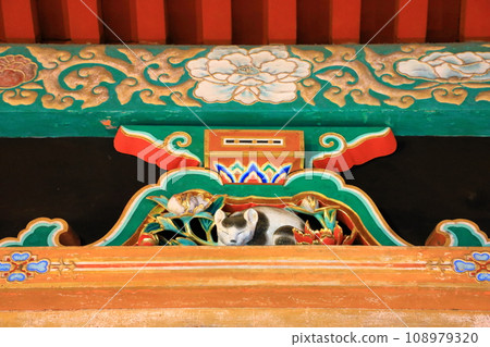 日光東照宮睡覺的貓 108979320