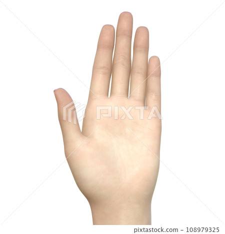 一個女人的手掌處於舉手姿勢，僅顯示手部部位的 3D 插圖。 108979325
