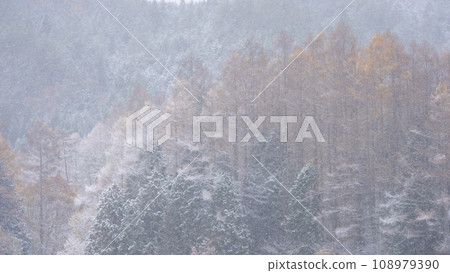 積雪覆蓋的森林(翁原湖周圍) 積雪覆蓋的森林(翁原湖周圍) 108979390