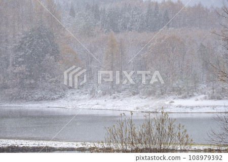 Snow covered forest (around Lake Onbara) Snow covered forest (around Lake Onbara) 108979392