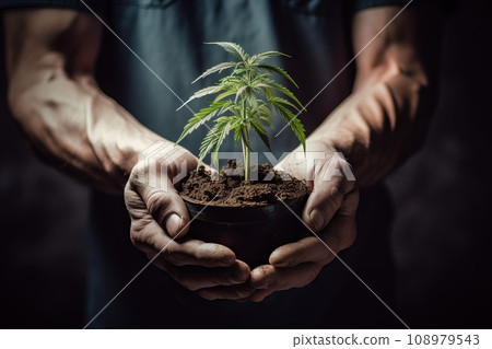 A man is holding a small bush of marijuana for planting in the ground. 108979543