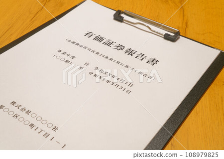 證券報告範本資料 108979825