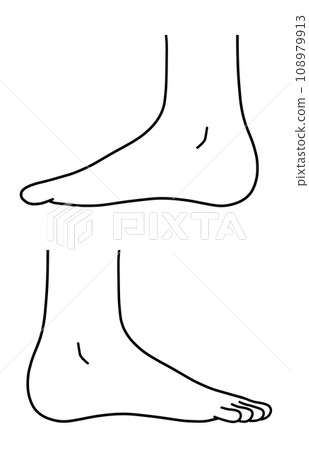從側面看人腳的簡單圖解 108979913