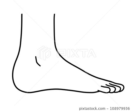 從側面看人腳的簡單圖解 108979936