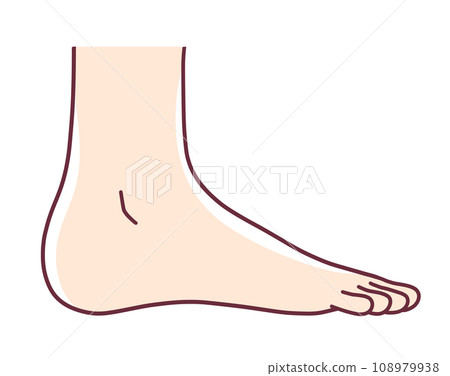 從側面看人腳的簡單圖解 108979938