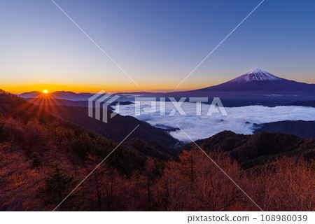 Japanese landscape "Mt. Fuji and sea of clouds" 108980039