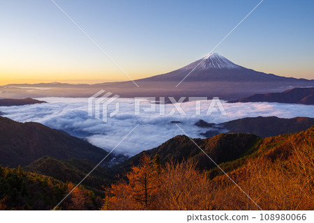 Japanese landscape "Mt. Fuji and sea of clouds" 108980066