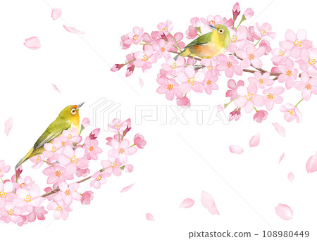 春天的花朵:櫻花落花瓣和小鳥(白眼鳥)的框架設計。水彩插圖。 春天的花朵:櫻花落花瓣和小鳥(白眼鳥)的框架設計。水彩插圖。 108980449