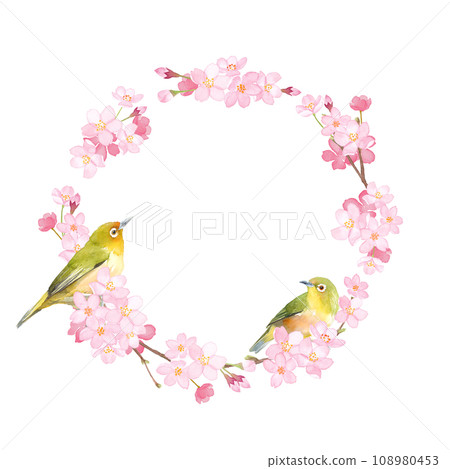 Watercolor illustration of cherry blossoms and two white-eyes. Spring round frame design. 108980453