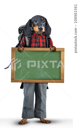 Cute animal 108981561