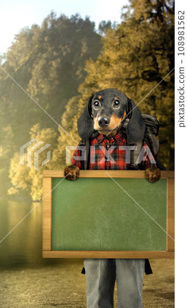 Cute animal Cute animal 108981562