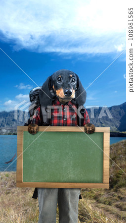 Cute animal 108981565