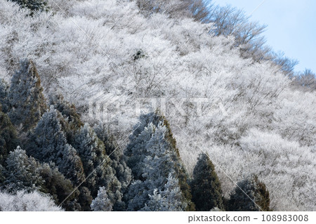 Winter scenery, hoarfrost Winter scenery, hoarfrost 108983008