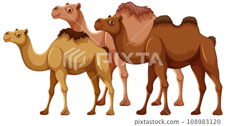 Camel Family Cartoon 108983120