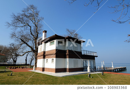 Historical Walking Mansion and Historical Sycamore Tree 108983368