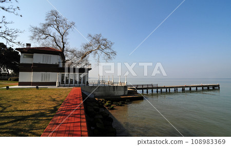 Historical Walking Mansion and Historical Sycamore Tree 108983369