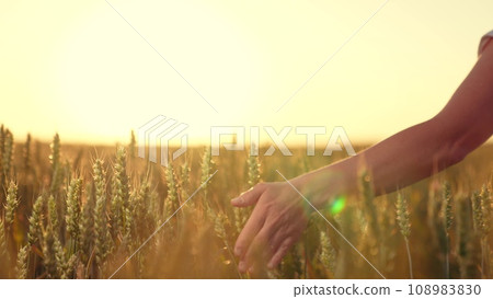 Experience the purest form of agriculture with Hand Wheat Our organic, countryside-grown wheat is nurtured under the warm sun, touched by the hands of skilled farmers. Picture a young man walking Experience the purest form of agriculture with Hand Wheat Our organic, countryside-grown wheat is nurtured under the warm sun, touched by the hands of skilled farmers. Picture a young man walking 108983830