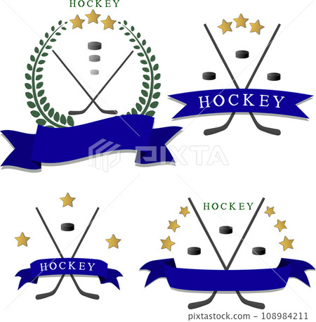 Collection accessory for sport game hockey 108984211