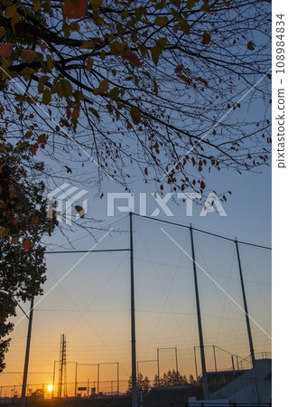 Trees in front of the baseball field as the sun sets Trees in front of the baseball field as the sun sets 108984834