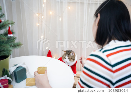 asian woman decorate christmas tree and dressing her cat with christmas theme asian woman decorate christmas tree and dressing her cat with christmas theme 108985014