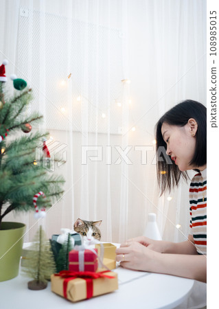 asian woman decorate christmas tree and dressing her cat with christmas theme asian woman decorate christmas tree and dressing her cat with christmas theme 108985015