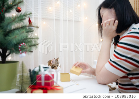 asian woman decorate christmas tree and dressing her cat with christmas theme asian woman decorate christmas tree and dressing her cat with christmas theme 108985016