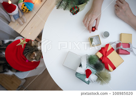 flat lay woman hand decorate christmas tree and new year gift box and play with her cat flat lay woman hand decorate christmas tree and new year gift box and play with her cat 108985020