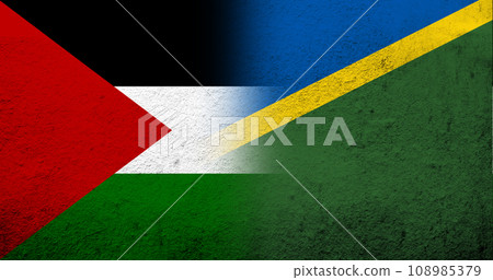 Flag of Palestine and National flag of The Solomon Islands. Grunge background 108985379