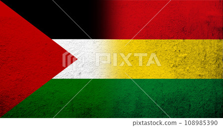 Flag of Palestine and Plurinational State of Bolivia National flag. Grunge background Flag of Palestine and Plurinational State of Bolivia National flag. Grunge background 108985390