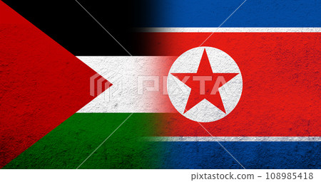 Flag of Palestine and Republic of Korea (North Korea) National flag. Grunge background Flag of Palestine and Republic of Korea (North Korea) National flag. Grunge background 108985418