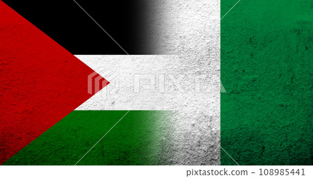Flag of Palestine and The Federal Republic of Nigeria National flag. Grunge background Flag of Palestine and The Federal Republic of Nigeria National flag. Grunge background 108985441