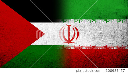 Flag of Palestine and The Islamic Republic of Iran (Persia) National flag. Grunge background 108985457