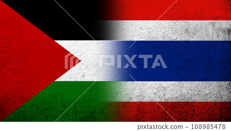 Flag of Palestine and The Kingdom of Thailand National flag. Grunge background 108985478