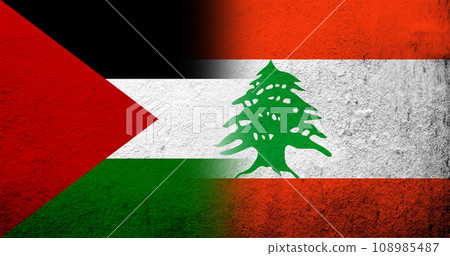 Flag of Palestine and The Lebanese Republic (Lebanon) National flag. Grunge background Flag of Palestine and The Lebanese Republic (Lebanon) National flag. Grunge background 108985487