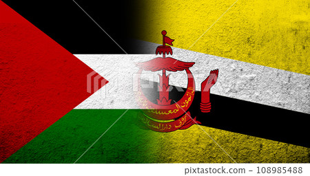 Flag of Palestine and the Nation of Brunei, the Abode of Peace National flag. Grunge background Flag of Palestine and the Nation of Brunei, the Abode of Peace National flag. Grunge background 108985488
