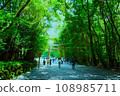 Torii in fresh green 108985711