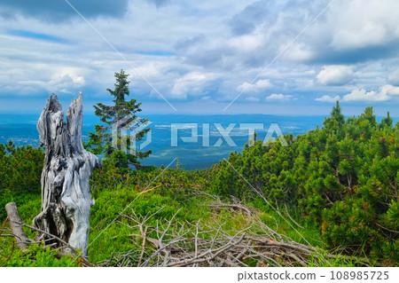 Beautiful view from above of the silhouettes of the mountains in the national park of Poland. 108985725