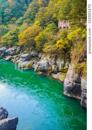 Autumn Yamaseiji [Ikusaka Village, Higashichikuma District] 108985870