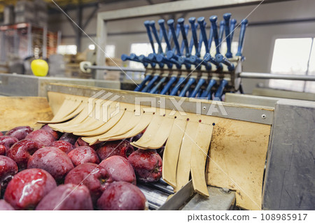 automatic apple picking line automatic apple picking line 108985917