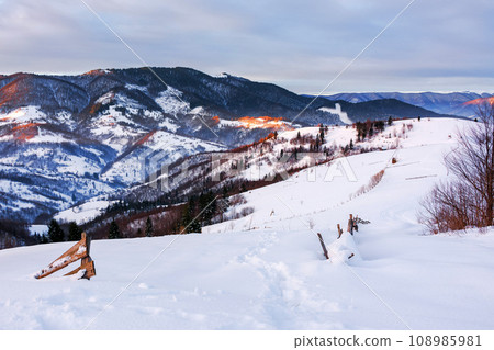 snow covered rolling hills of carpathian countryside landscape in winter. mountainous rural scenery on a cold morning with overcast sky 108985981