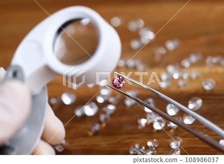 Goldsith in white gloves hold tweezers with pink 108986037
