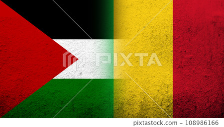 Flag of Palestine and the Republic of Mali National flag. Grunge background 108986166