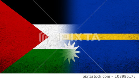 Flag of Palestine and The Republic of Nauru (Pleasant Island) National flag. Grunge background Flag of Palestine and The Republic of Nauru (Pleasant Island) National flag. Grunge background 108986175
