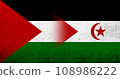 Flag of Palestine and The Sahrawi Arab Democratic Republic (Western Sahara) national flag. Grunge background 108986222