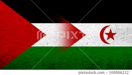 Flag of Palestine and The Sahrawi Arab Democratic Republic (Western Sahara) national flag. Grunge background 108986222