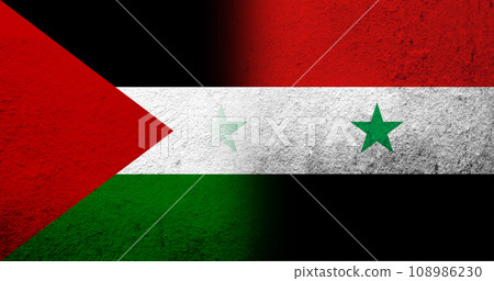 Flag of Palestine and The Syrian Arab Republic National flag. Grunge background Flag of Palestine and The Syrian Arab Republic National flag. Grunge background 108986230